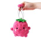Ricesweet Fruit Pouch