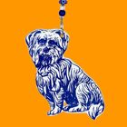Real and Imaginary Animals and Objects of Interest