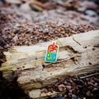 Nessie Enamel Pin
