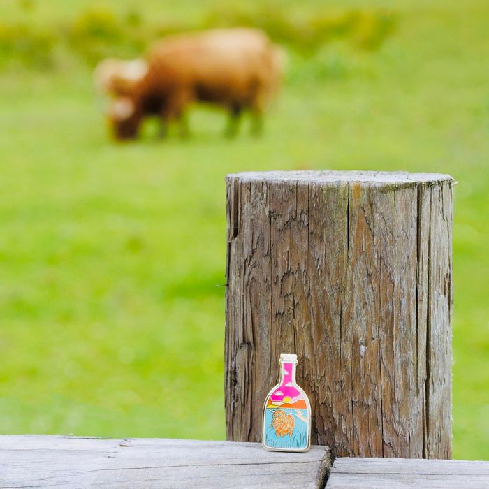 Highland Cow Enamel Pin