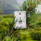 Stag Enamel Pin