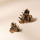 Tortoiseshell hair clip