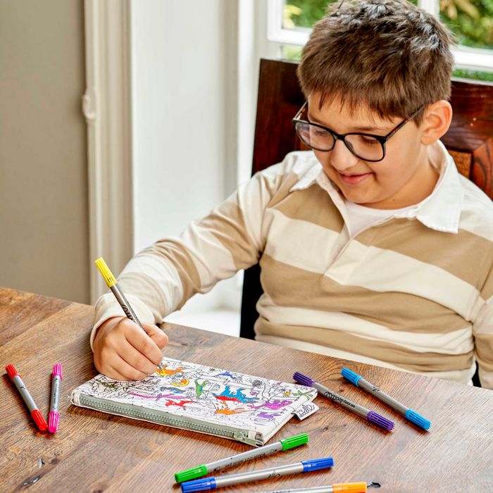 Colour-in Dinosaur Pencil Case