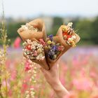 Mini Bouquets - Mixed Colours Box