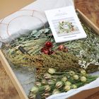 Wreath Kit - Winter