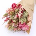 Dried Bouquet - Pink
