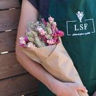 Dried Bouquet - Pink