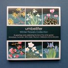 Winter Flowers Range