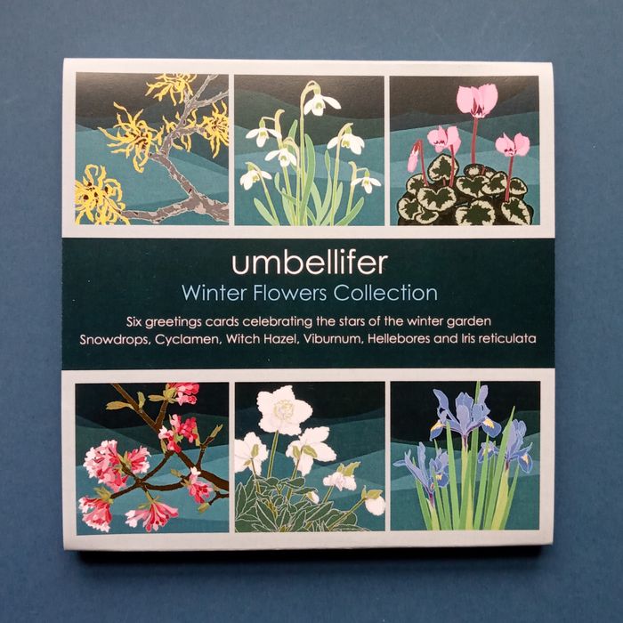 Winter Flowers Range