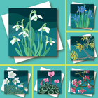 Winter Flowers Range