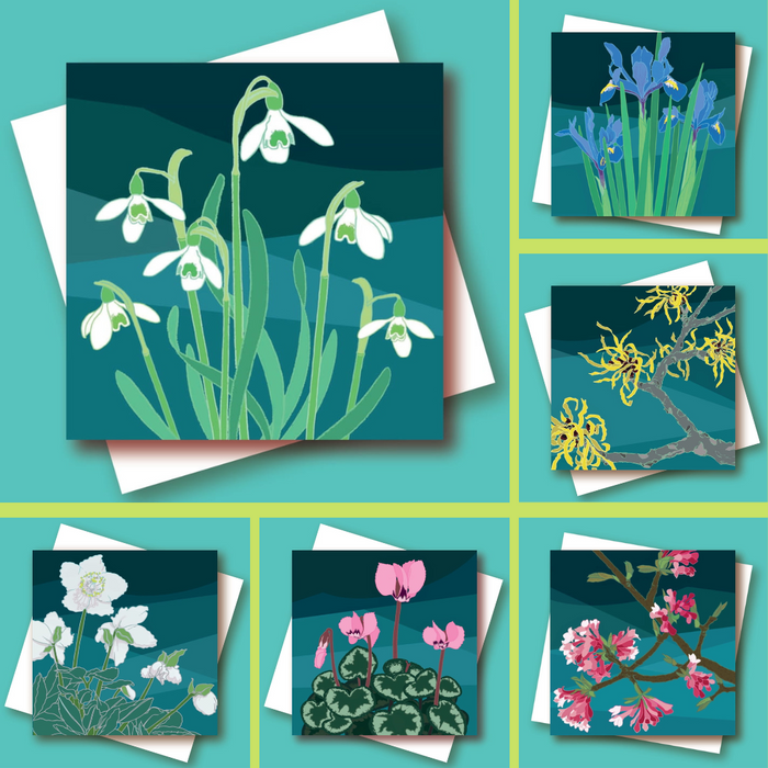 Winter Flowers Range