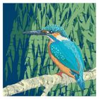 Wildfowl and Wetland Birds Range
