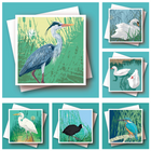 Wildfowl and Wetland Birds Range