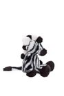 Zizi Zebra Standard M