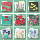 A Selection of Everyday Botanicals
