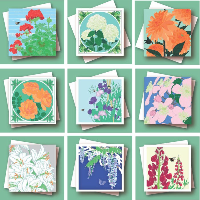 A Selection of Everyday Botanicals
