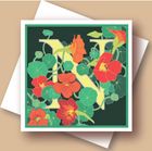 The Plant Alphabet Range of Greetings Cards