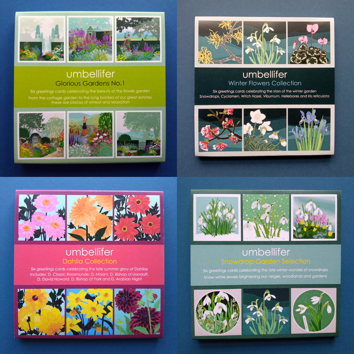 Umbellifer Themed Greetings Card Packs
