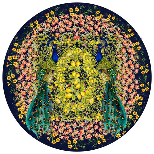 Peacocks and Lemons Placemats (Navy)