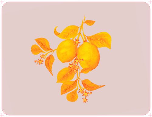 Lemons Placemats/Table mat (Soft Pink)