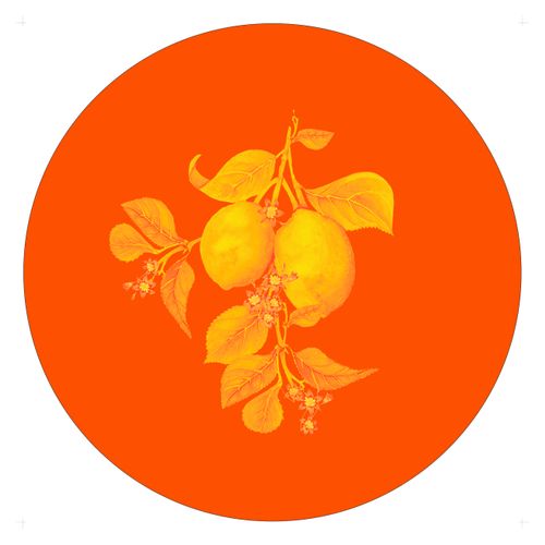 Lemon Coaster (Orange)