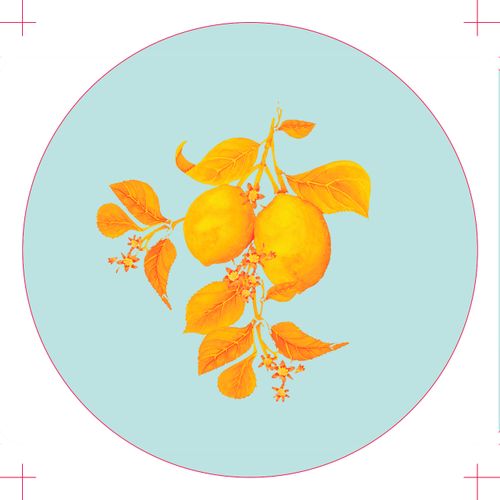 Lemon Coaster (Vintage Blue)