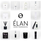 White and Noir Collections