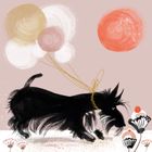 'DASHING DOGS'