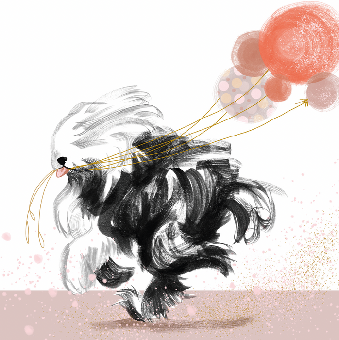 'DASHING DOGS'