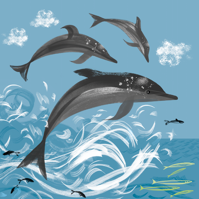 'SEA OUR OCEANS' – Greetings Cards and Art Prints