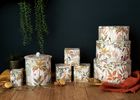 Sara Miller - Palm Garden tin collection