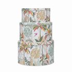Sara Miller - Palm Garden tin collection