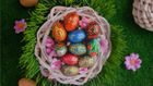 Honest Easter Collection