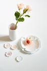 The Blooming Life