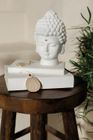 Zen Spirit