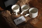 GESTURE CUPS