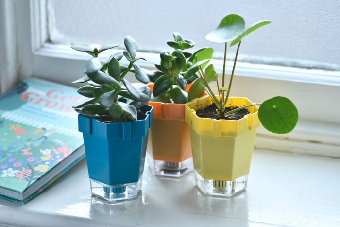 RHS Growing Gardeners family gardening range