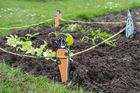 RHS Growing Gardeners family gardening range
