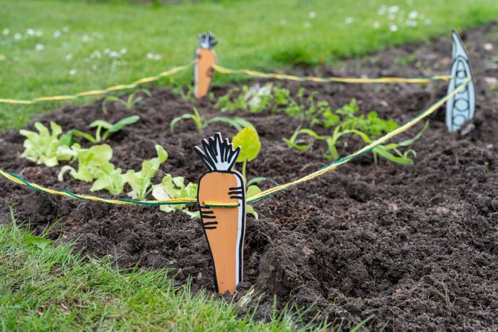 RHS Growing Gardeners family gardening range