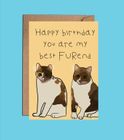 My sister's cats - Cute birthday cards with cats