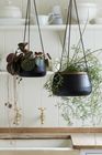Sahara Sunset homeware and indoor plant pots