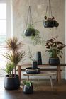 Sahara Sunset homeware and indoor plant pots