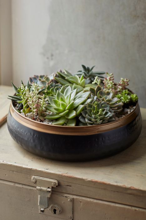 Sahara Sunset homeware and indoor plant pots