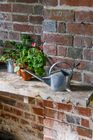 Sophie Conran for Burgon & Ball homeware and gifts