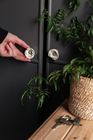Cabinet Knobs