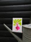Grow Greeting card Range