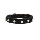 Pearl Collar & Lead
