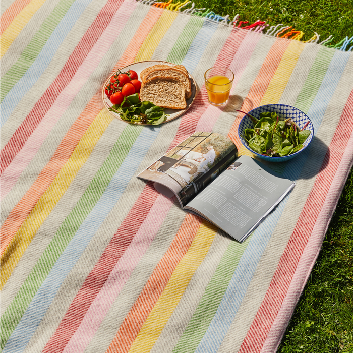 Picnic Rugs