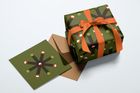 Seasonal Design Collections