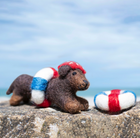Salty Sea Dog Decorations